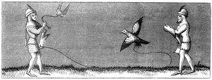 How to train a young falcon