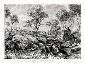 Hunting Kangaroos, Australia, 1877