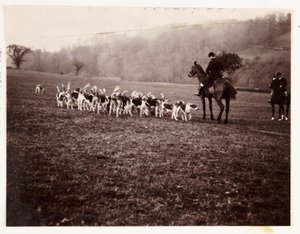 Huntsman and hounds, c 1905 by Unbekannt