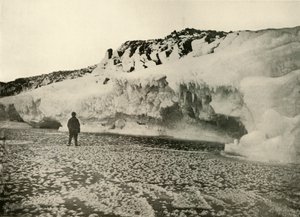 Ice Flowers on Newly Formed Sea Ice Early in the Winter