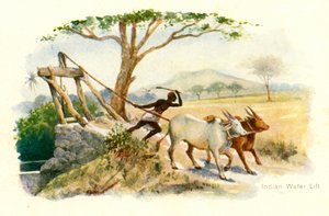 Indian Water Lift