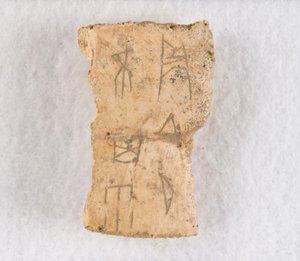Inscribed Bone Fragment Oracle Bone