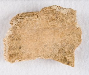 Inscribed Bone Fragment Oracle Bone, Late Shang Dynasty