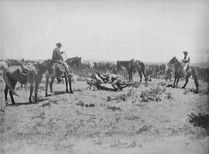 Inspecting a Brand on the Prairies