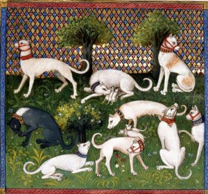 Hunting Dogs (Alan) / Book of the Hunt