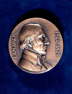 Jean Lamarck, French Naturalist by Unbekannt