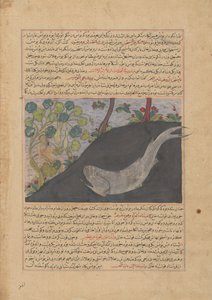 Jonah and the Whale, Folio from a Majma