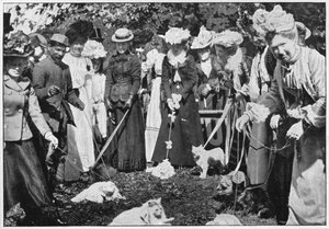 Judging cats at the Royal Botanic Gardens show, Kew, London