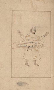 Book of the Images of the Fixed Stars of al-Sufi by Unbekannt