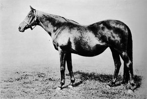 La Fleche, 1911