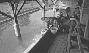 Washerwoman in a Village of France, 1966