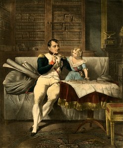 Le Cabinet de Napoleon