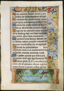 Leaf from a Book of Hours: Ape Fishing