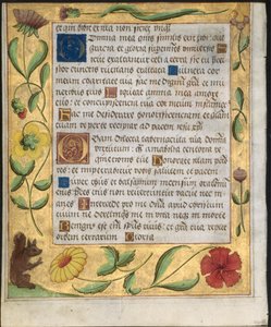 Leaf from a Psalter and Prayerbook: Ornamental Border with Flowers and Squirrel verso by Unbekannt
