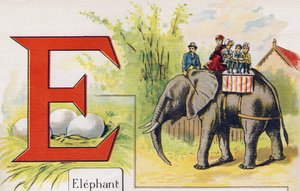 Letter E: Elephant