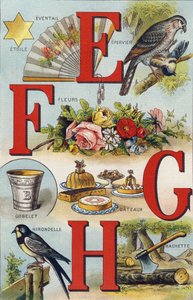 Letters E F G H; Swallow; Fan; Flowers; Cakes; Cup; Hachette; Swallow by Unbekannt
