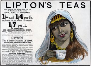 Lipton