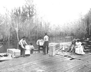 Loading Oranges on the Ocklawaha River, Florida, USA by Unbekannt