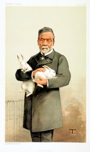 Louis Pasteur, French Chemist and Founder of Modern Bacteriology by Unbekannt