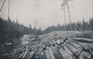 Lumbering by Unbekannt