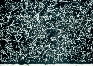 Metals, Non-Ferrous, Tin-Based Bearing Alloy