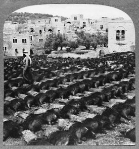 Making Wine Bottles, Hebron by Unbekannt