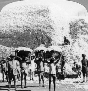 Men Carrying Baskets of Cotton at an Indore Cotton Mill, India