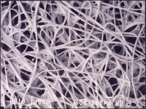 Micrographs Chemotextile Cloth by Unbekannt
