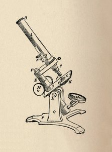 Microscope by Unbekannt