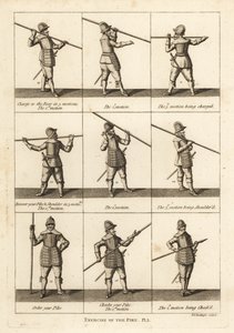 Military exercises of the pike