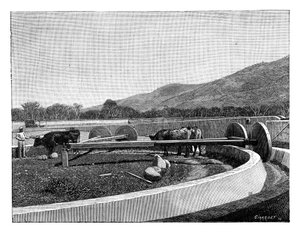 Mill for husking coffee, Central America