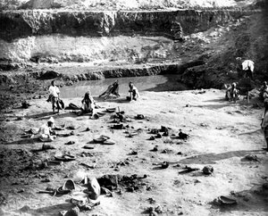 Mine, Korea
