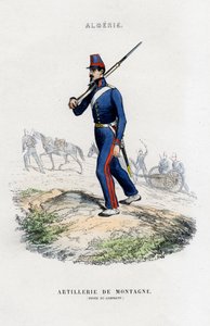 Mountain artillery, French Army in Algeria