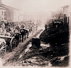 Mounted Troops with Wagons