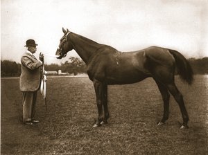Mr C G Assheton-Smith and Cloister