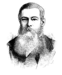 Mr. J. H. Brand, President of the Orange Free State, c1880