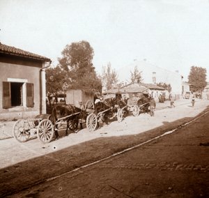 Mule Wagons with Supplies, Verdun, Northern France