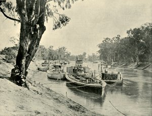 Murray Barges and Steamboats at Echuca