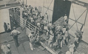 Natives Loading Bananas at Kingston, Jamaica, Chanting Scottish Psalms
