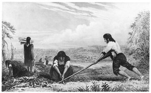 Natives of Chiloe, Patagonia, using a breast plough, 1839