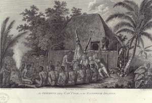 Natives of the Sandwich Islands, Hawaii, Slaughtering Swine Before Captain Cook by Unbekannt