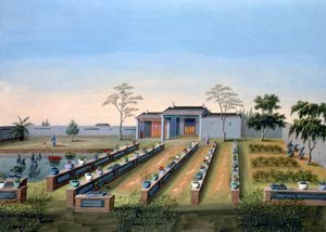 Nursery Garden, China by Unbekannt
