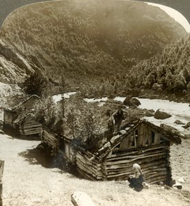 Old Log Houses in Bratslandsdal, with Trees Growing on Sod-covered Roofs, Norway by Unbekannt