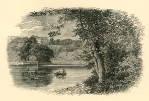 On the Dart