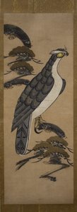 Otsu-e of Falcon on a Pine Tree, 18th century by Unbekannt