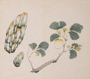 Page from Shi Zhu Zhai