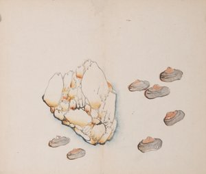 Page from Shi Zhu Zhai