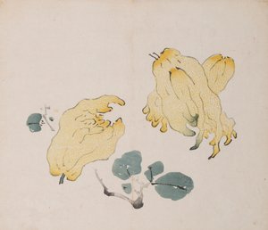 Page from Shi Zhu Zhai