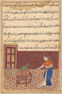 Page from Tales of a Parrot Tuti-nama: Fifty-first Night: The Parrot Addresses Khujasta