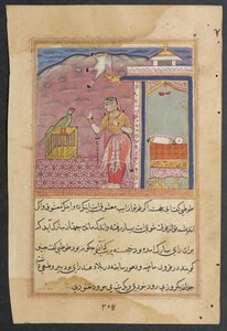 Page from Tales of a Parrot Tuti-nama: Forty-fourth Night: The Parrot Addresses by Unbekannt
